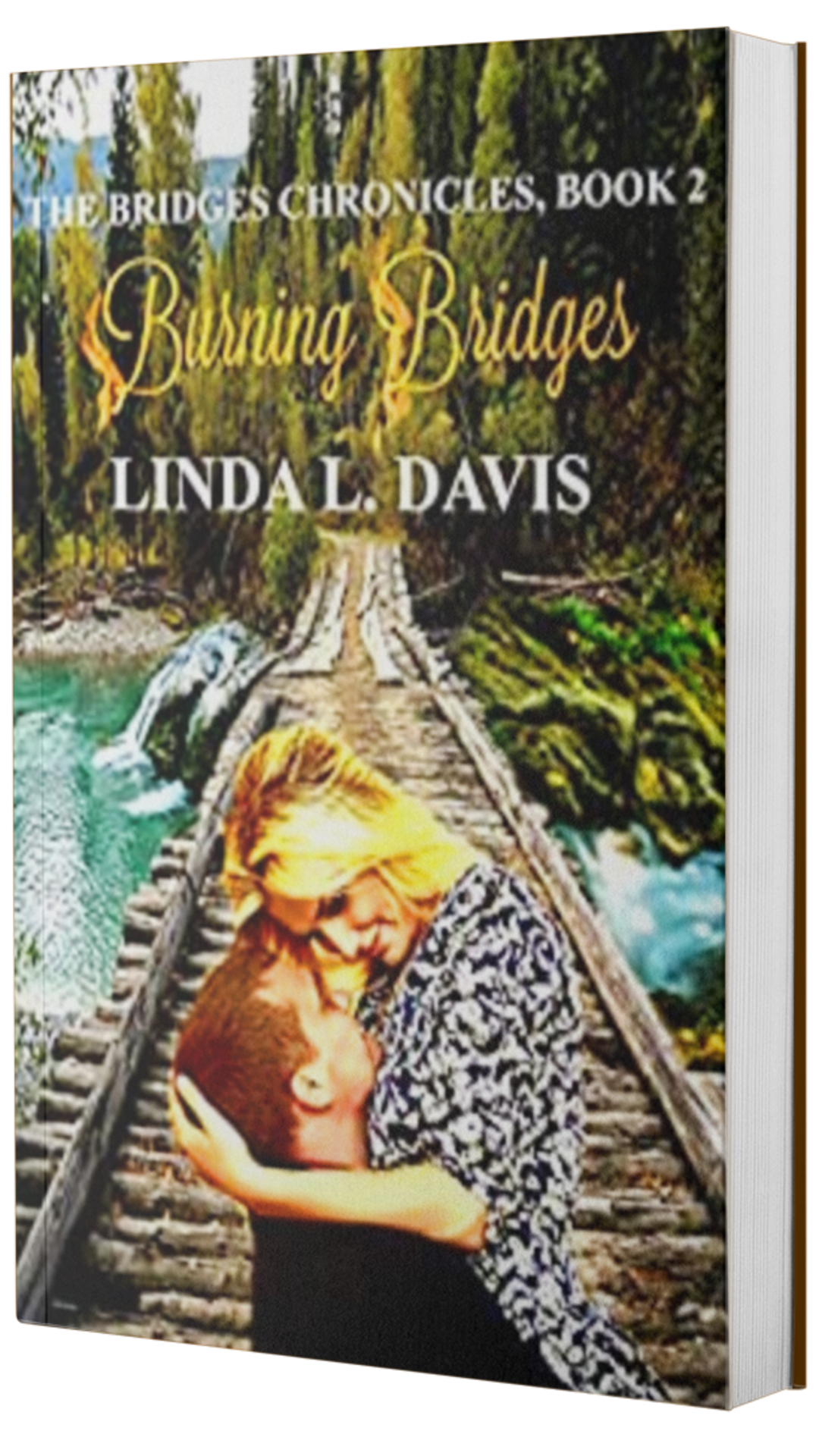 Link to purchse Burning Bridges on Amazon